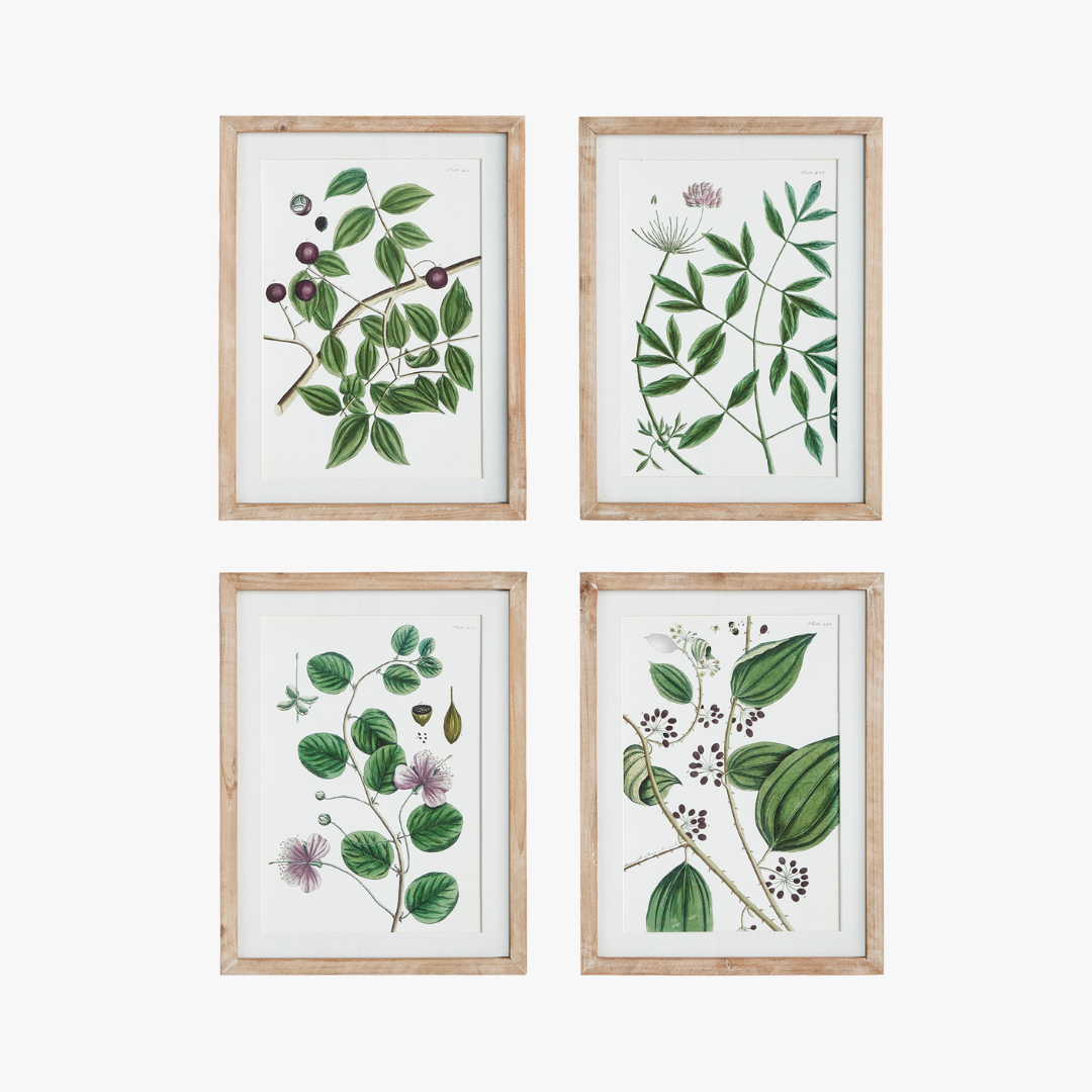 Verdant Branch Framed Prints
