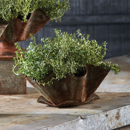 Weathered Metal Handkerchief Planter with greenery