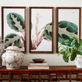 Tropical Bookplate Print Triptych Styled with Pagoda Bamboo Console