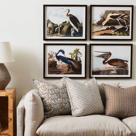 Framed Bird Bookplate Prints - Dear Keaton