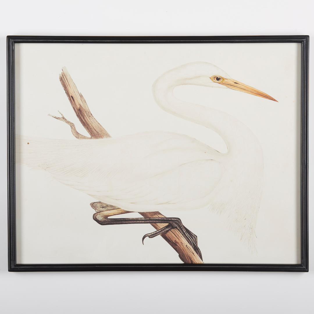 Heron Framed Art Prints facing right