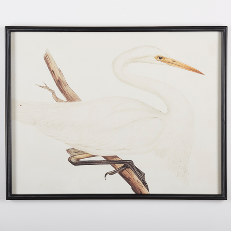 Heron Framed Art Prints facing right