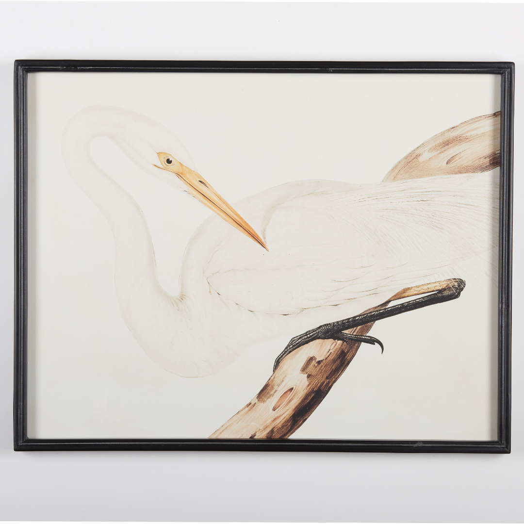 Heron Framed Art Print facing left