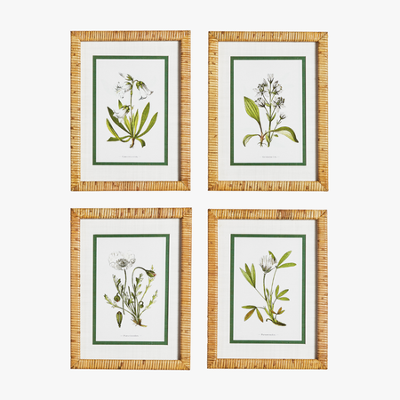 White Floral Study Framed Prints