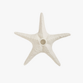 White Starfish Taper Candle Holder - coastal decor