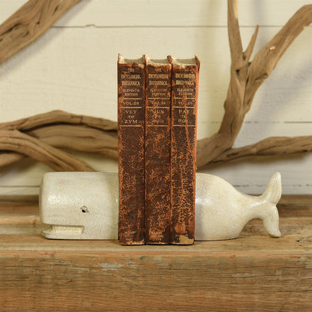 White Whale Cast Iron Bookends styled with antique books