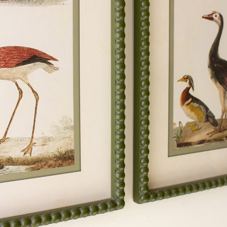 Wild Bird Prints - Olive Green Frame Closeup