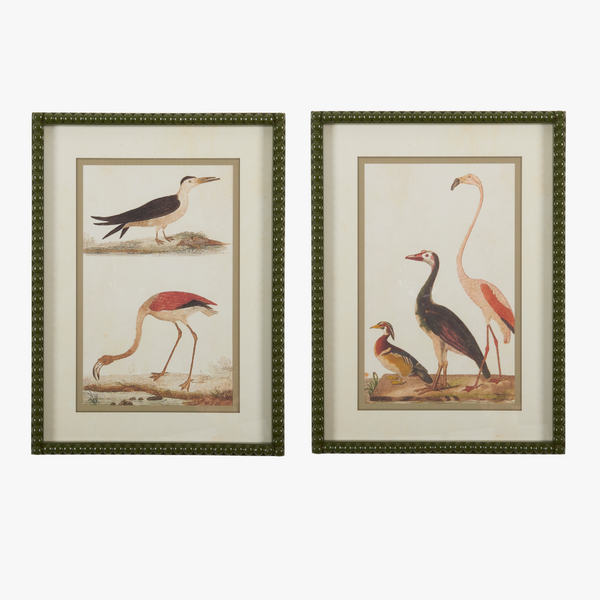 Wild Bird Prints - Framed Coastal Wall Art - Dear Keaton