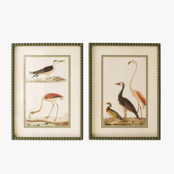 Wild Bird Prints