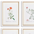 Wildflower Bookplate Framed Prints - gold and white frame closeup