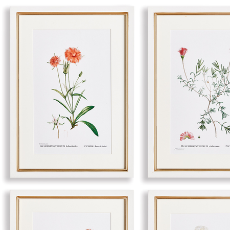 Wildflower Bookplate Framed Prints - gold and white frame closeup