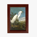 Wood Framed Snowy Egret