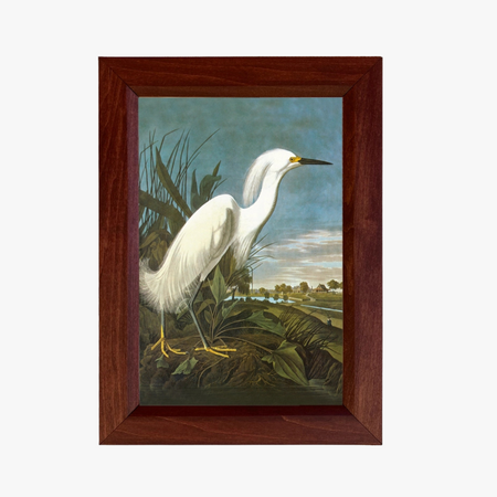 Wood Framed Snowy Egret