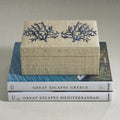 Blue Coral Raffia Box on stack of books