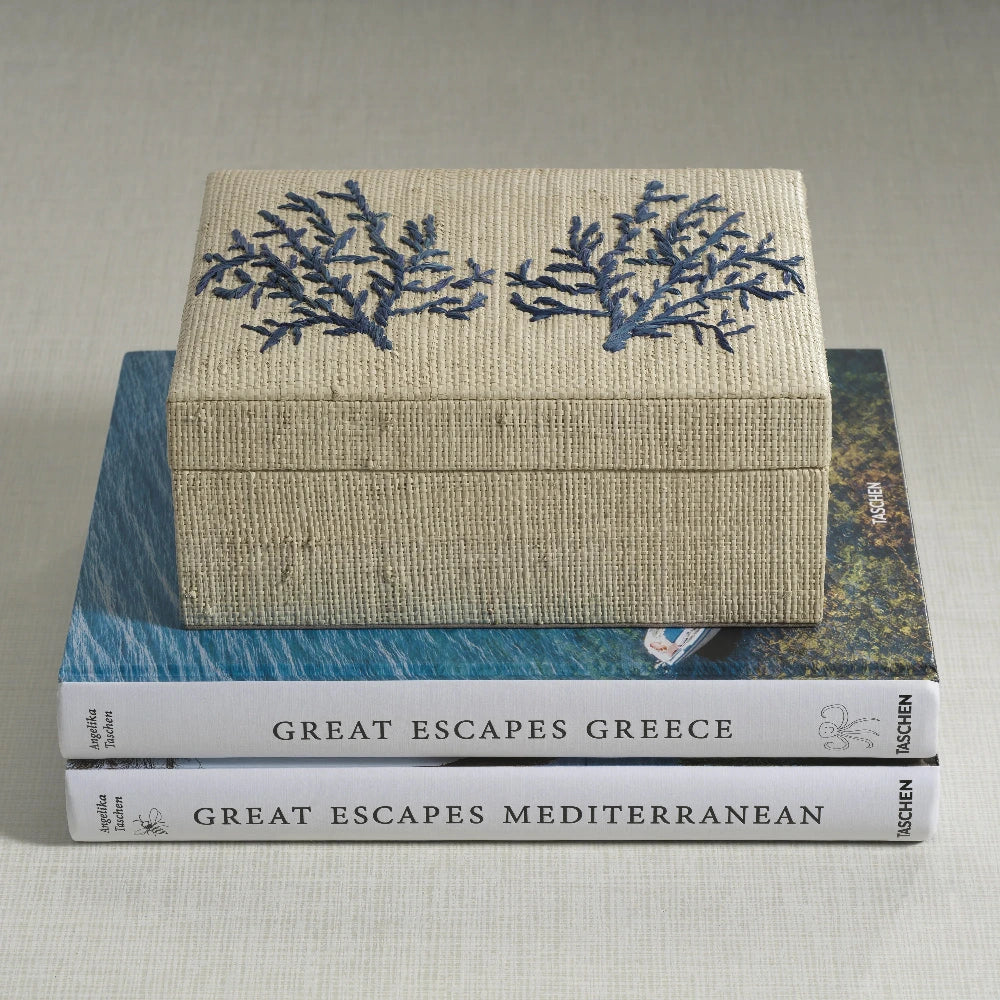 Blue Coral Raffia Box on stack of books