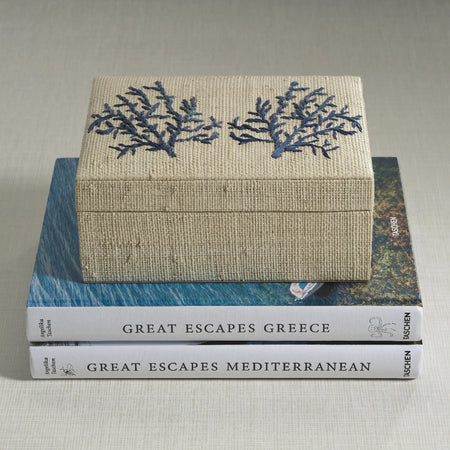 Blue Coral Raffia Box on stack of books