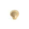 Brass Shell Knob - coastal hardware