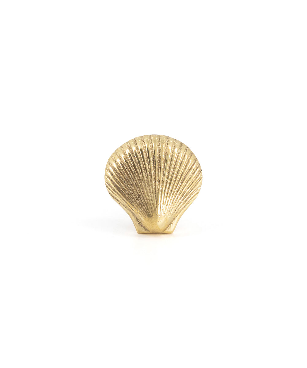 Brass Shell Knob - coastal hardware