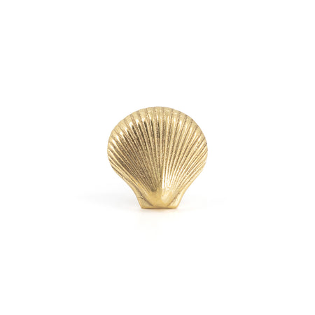 Brass Shell Knob - coastal hardware