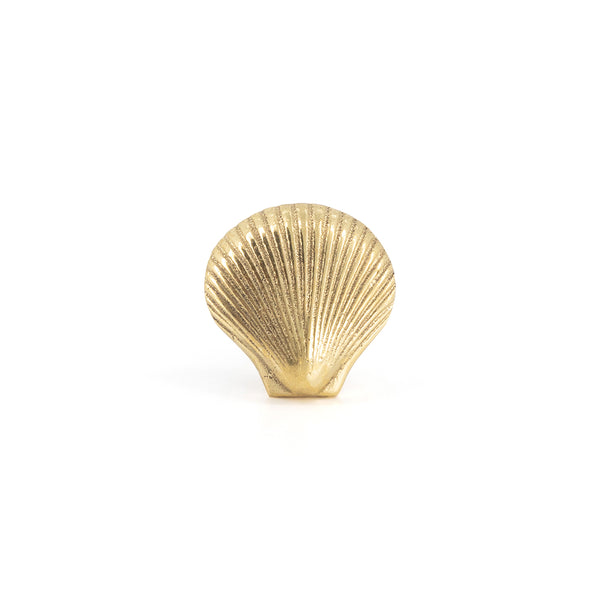 Brass Shell Knob - Coastal Cabinet Hardware - Dear Keaton