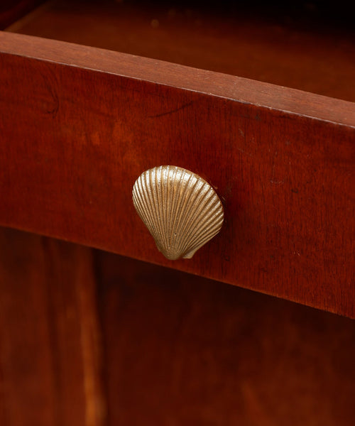 Brass Shell Knob - Coastal Cabinet Hardware - Dear Keaton
