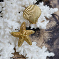 Brass Starfish Knob and Shell Knobs - coastal hardware