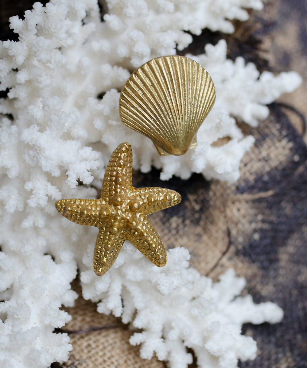 Brass Starfish Knob and Shell Knobs - coastal hardware