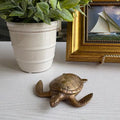 Brass Sea Turtle Paper Weight styled with plant