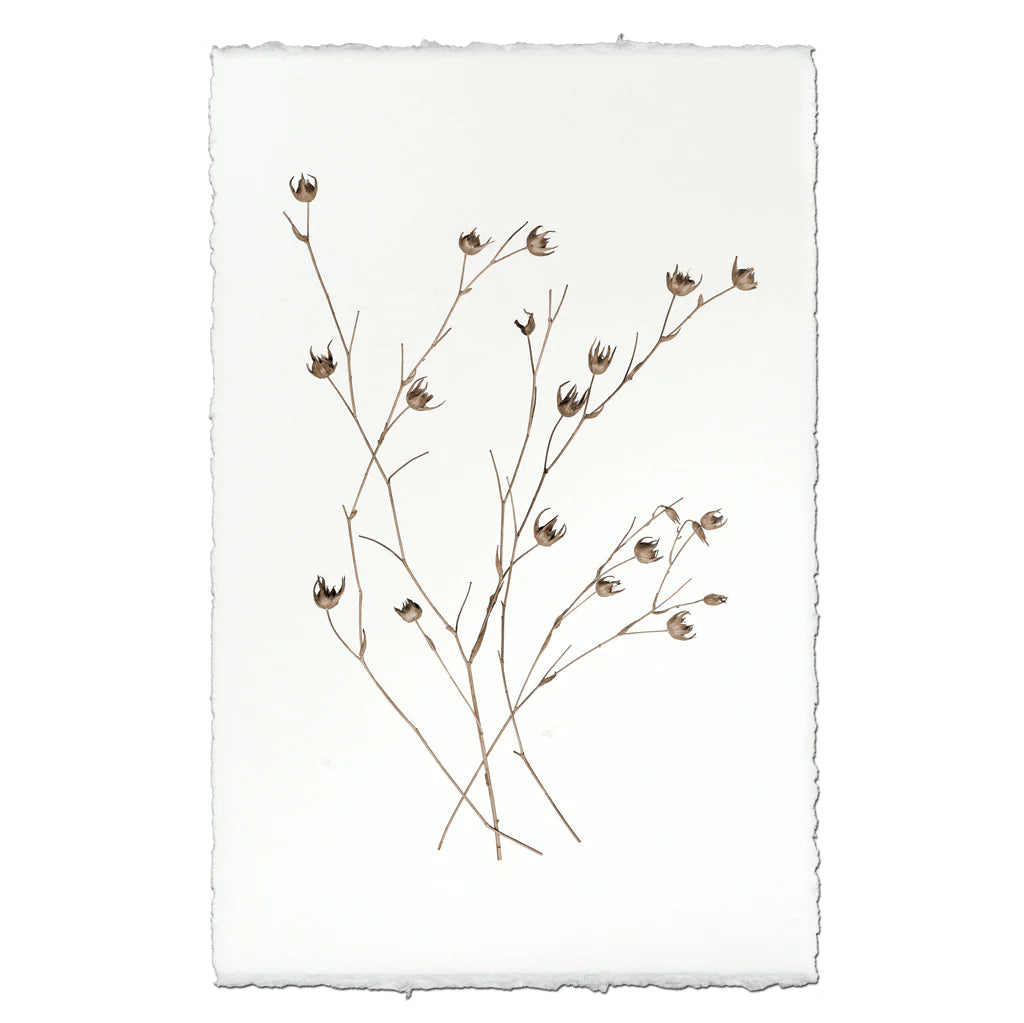 Petal Form Botanical Print on English Watercolor Paper