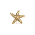 Solid Brass Starfish Knob - drawer pull