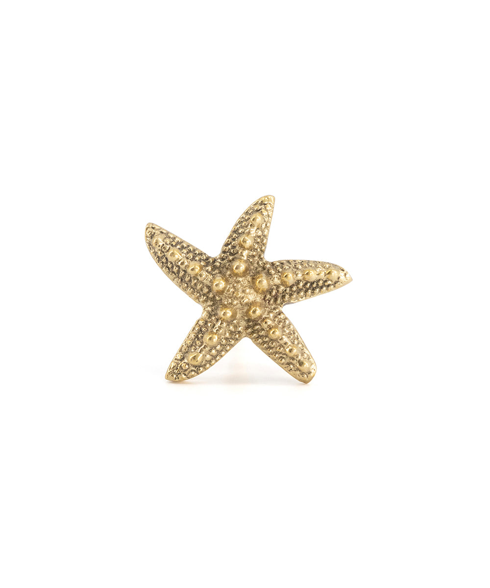 Solid Brass Starfish Knob - drawer pull