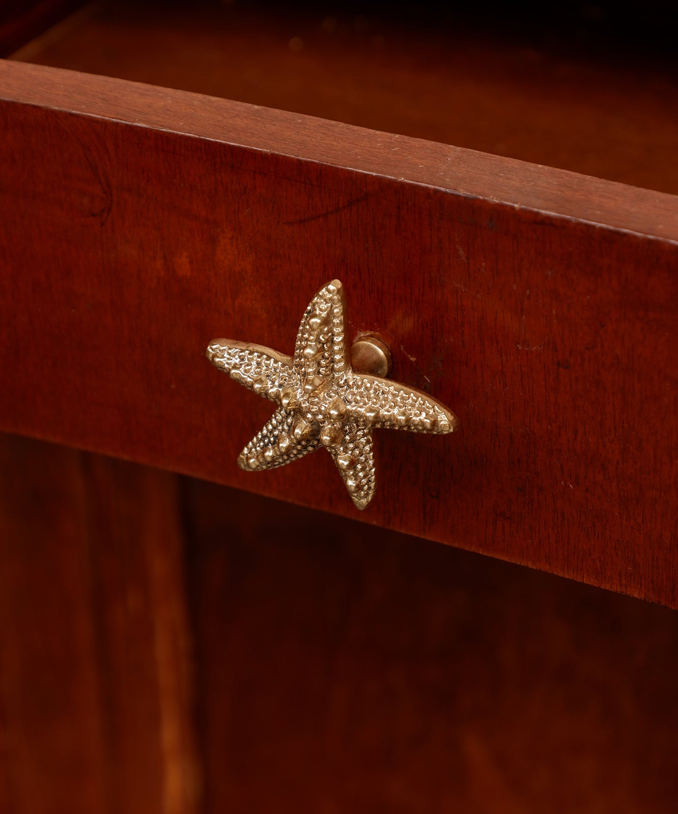 Solid Brass Starfish Knob closeup - drawer pull