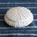 White Urchin Box Alternate View