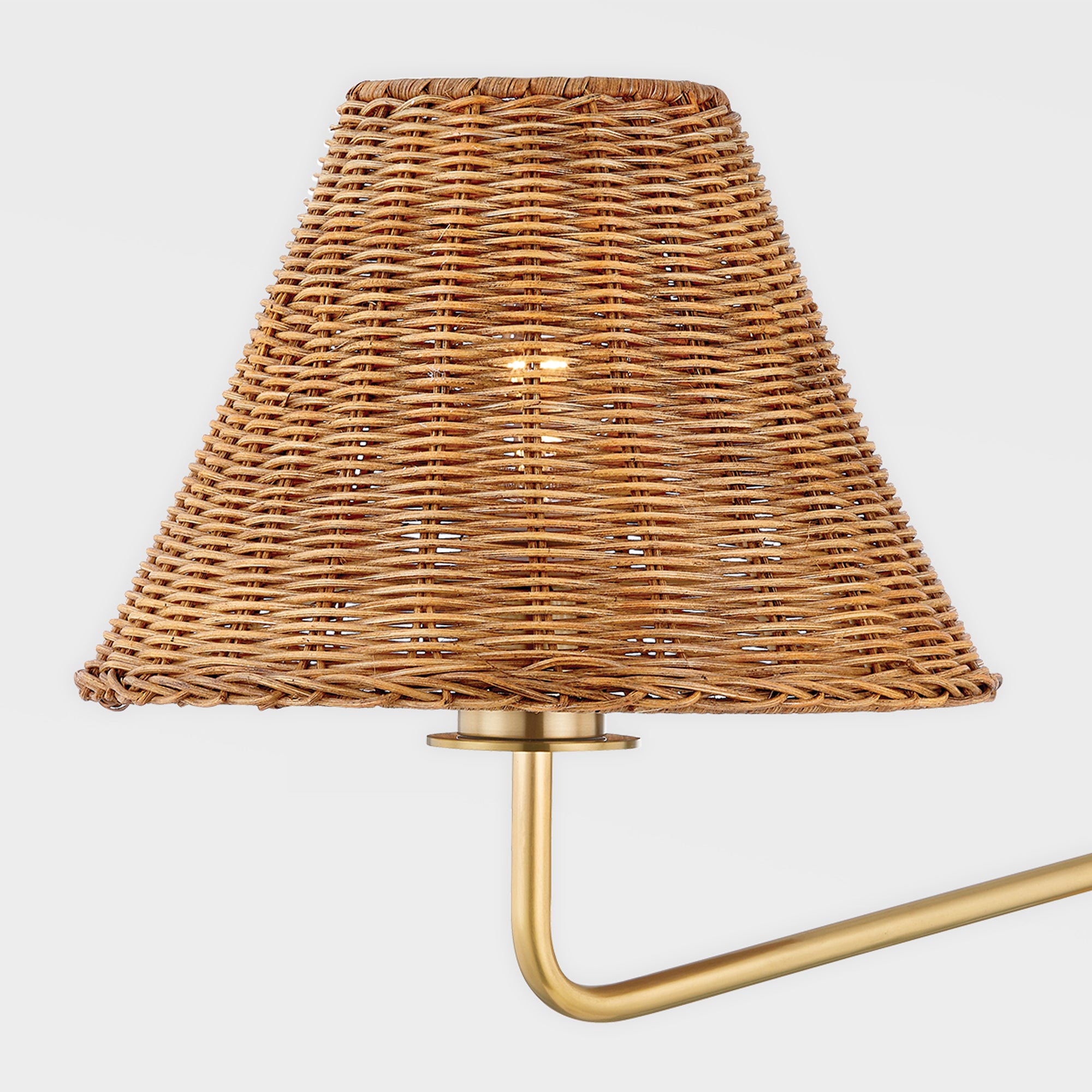 Botet Swing Arm Sconce Close Up