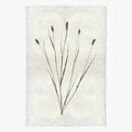 Canary Grass Form Print