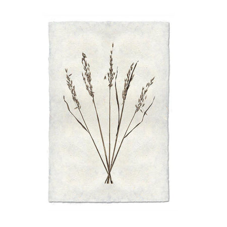 Oat Form Print From Dear Keaton