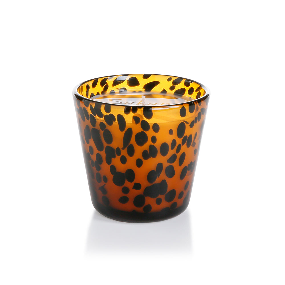 Sahara Tortoise Candle