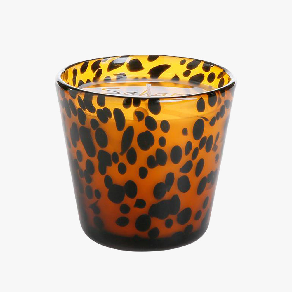 Sahara Tortoise Candle
