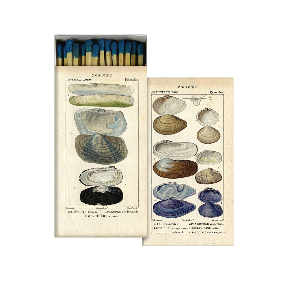 Seashell Matches From Dear Keaton