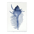 Spiny Murex Print From Dear Keaton
