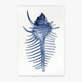 Spiny Murex Print