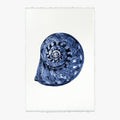 Spiral Shell Print