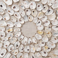 Sun Shell Wall Art Close Up