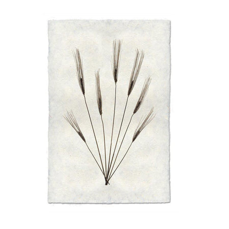 Wheat Form No. 2 Print