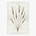 Wheat Form No. 2 Print