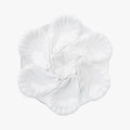 White Oyster Plate