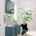 Zen Navy Grasscloth Cabinet - Chassity Evans Look Linger Love Home