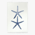 Double Starfish Print