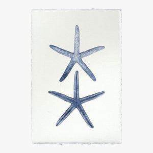 Double Starfish Print